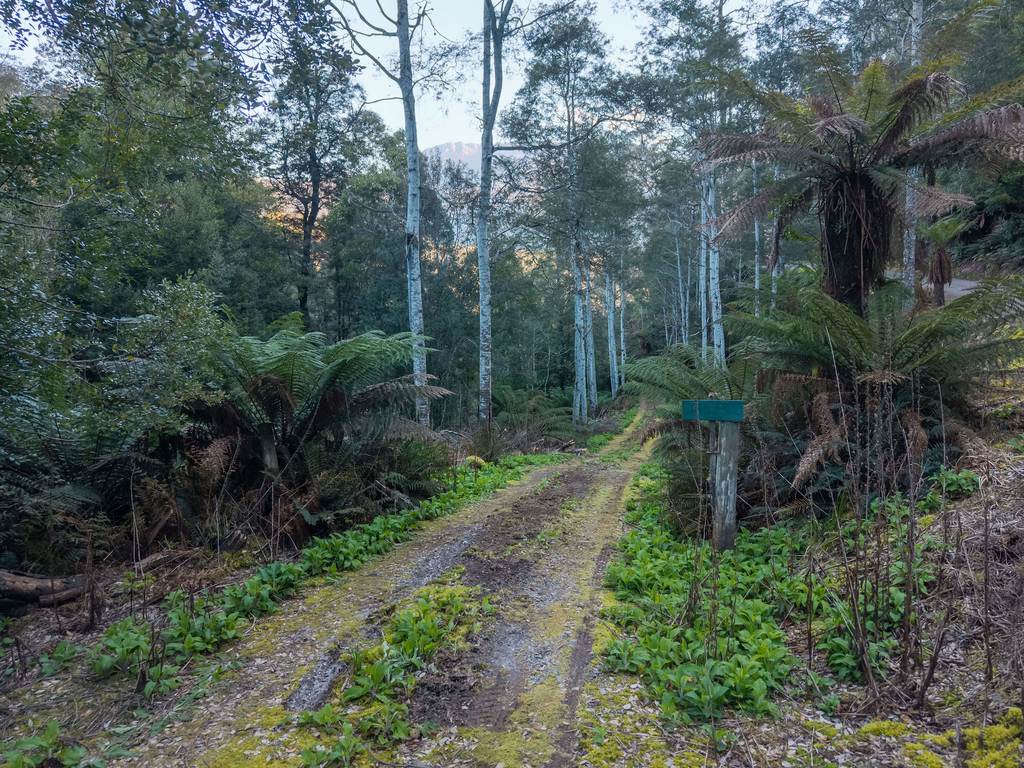 1759 Loongana Road, Loongana TAS 7315