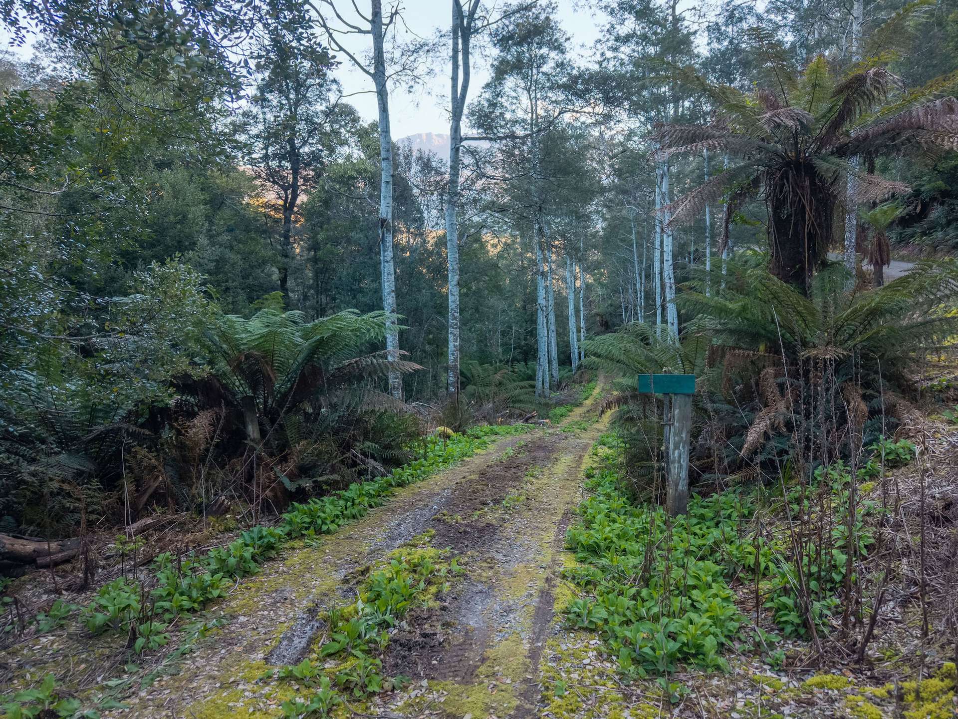1759 Loongana Road, Loongana For Sale by Farmbuy.com - image 1