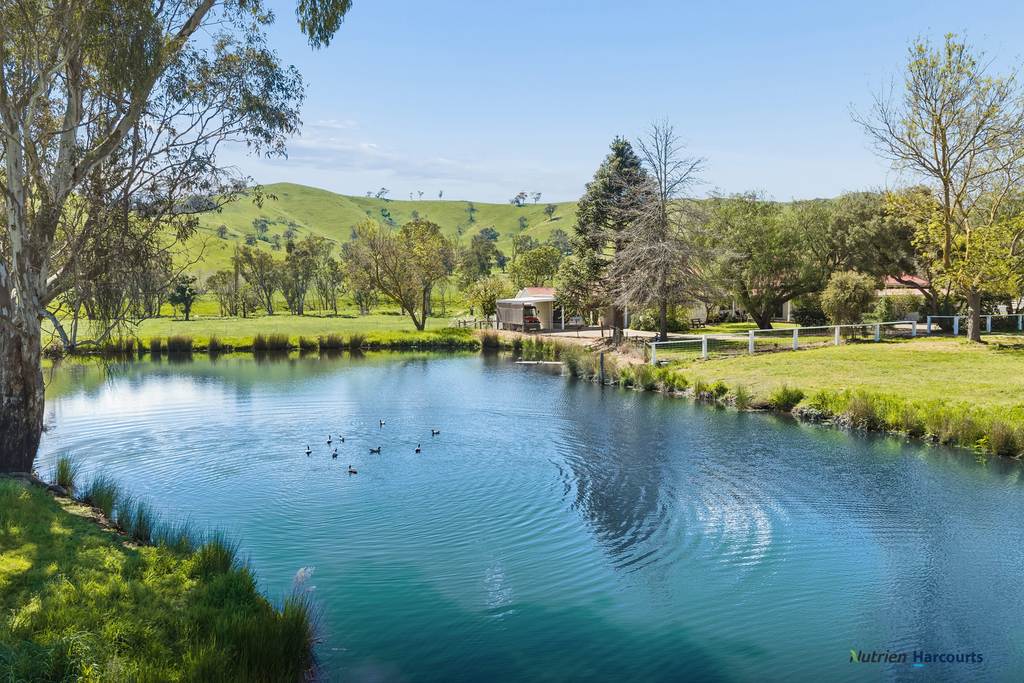 141 U T Creek Road, Alexandra VIC 3714