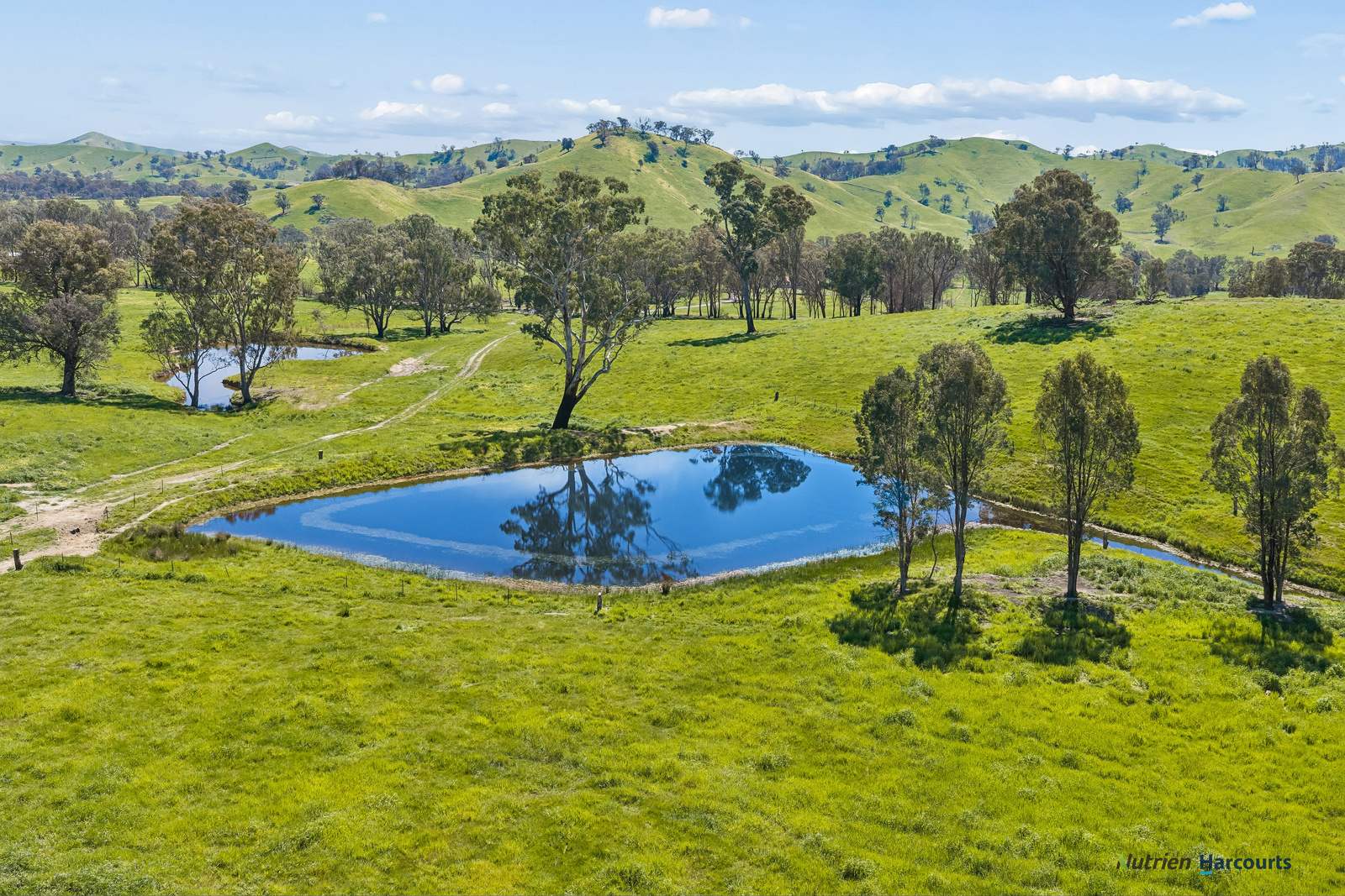 141 U T Creek Road, Alexandra For Sale by Farmbuy.com - image 28