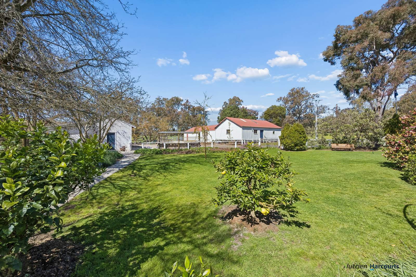 141 U T Creek Road, Alexandra For Sale by Farmbuy.com - image 23