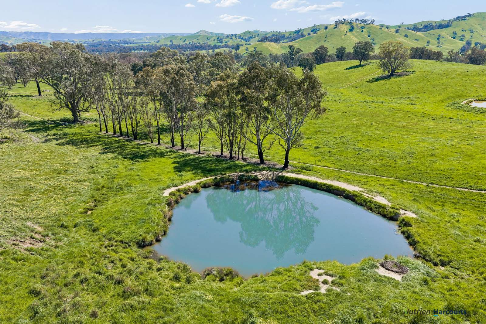141 U T Creek Road, Alexandra For Sale by Farmbuy.com - image 27