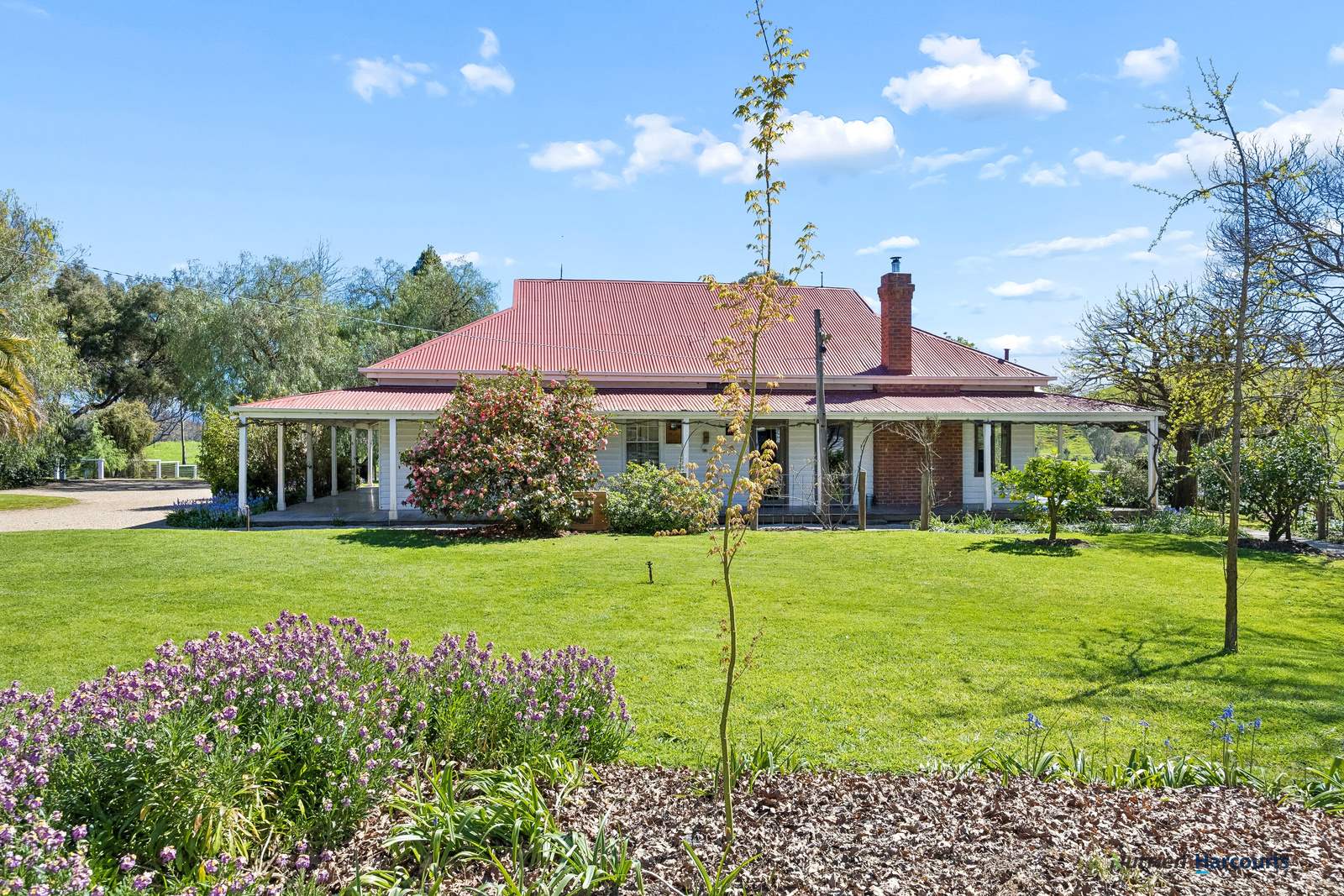 141 U T Creek Road, Alexandra For Sale by Farmbuy.com - image 3
