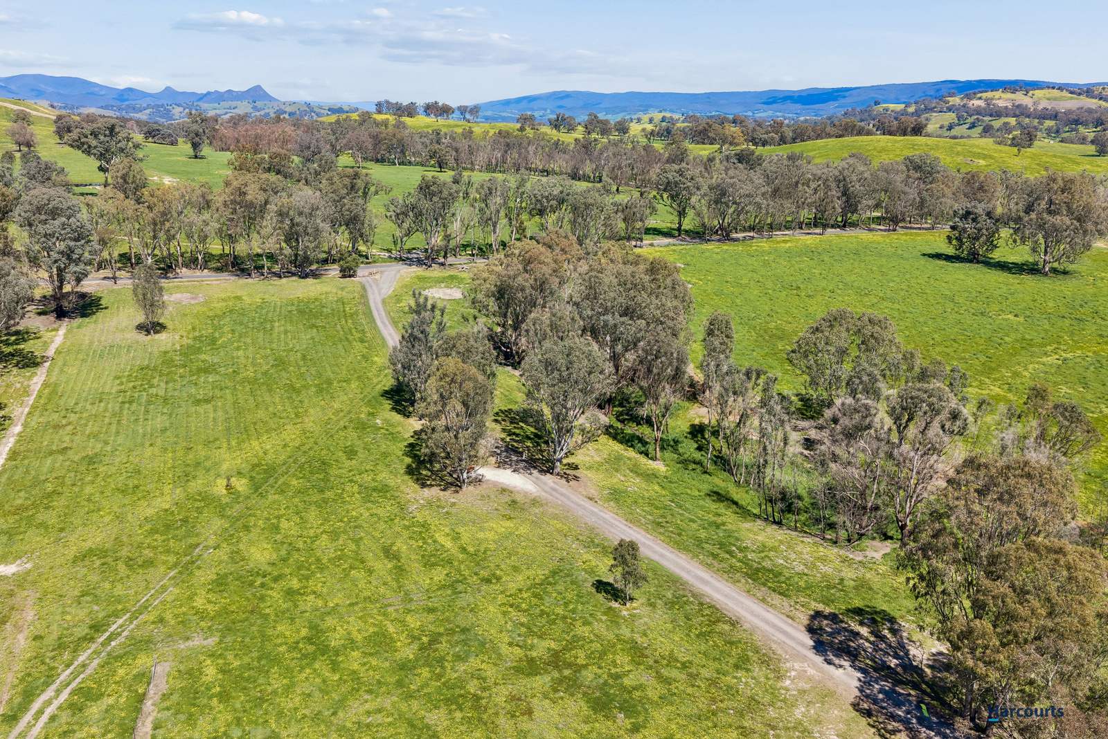 141 U T Creek Road, Alexandra For Sale by Farmbuy.com - image 32