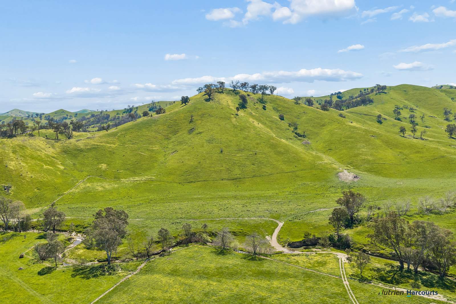 141 U T Creek Road, Alexandra For Sale by Farmbuy.com - image 31