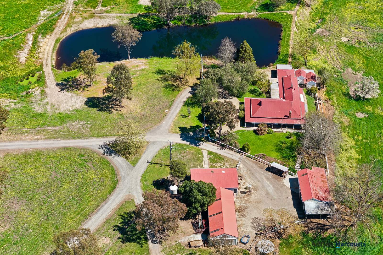 141 U T Creek Road, Alexandra For Sale by Farmbuy.com - image 5