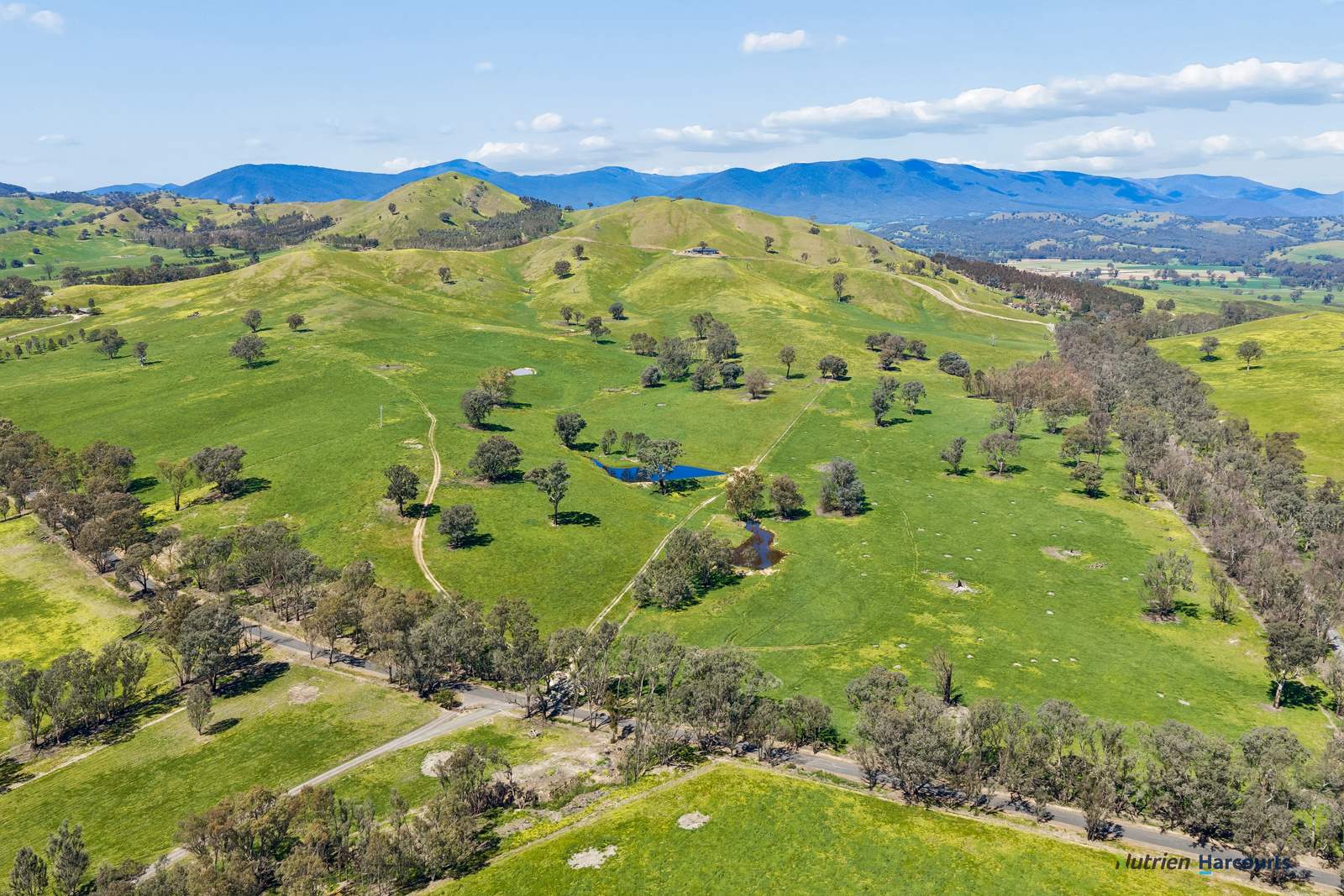 141 U T Creek Road, Alexandra For Sale by Farmbuy.com - image 29