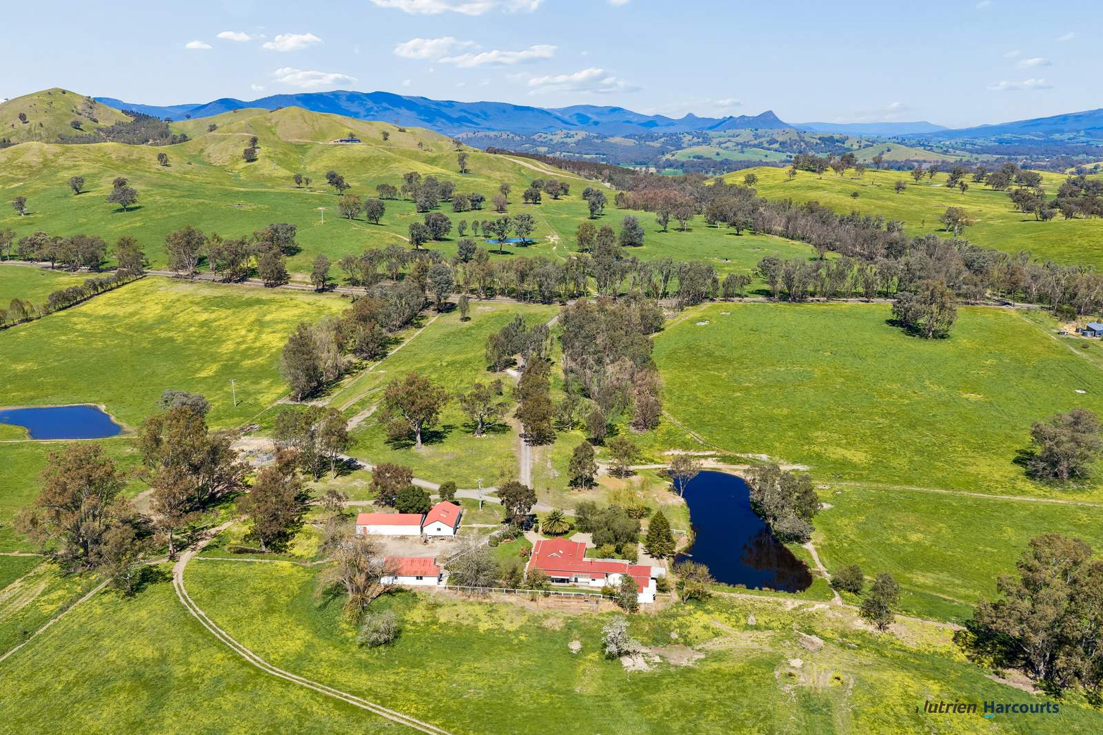 141 U T Creek Road, Alexandra For Sale by Farmbuy.com - image 6