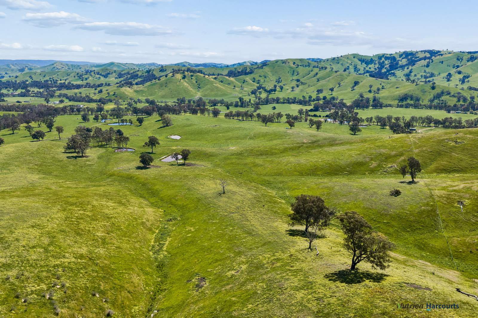 141 U T Creek Road, Alexandra For Sale by Farmbuy.com - image 30