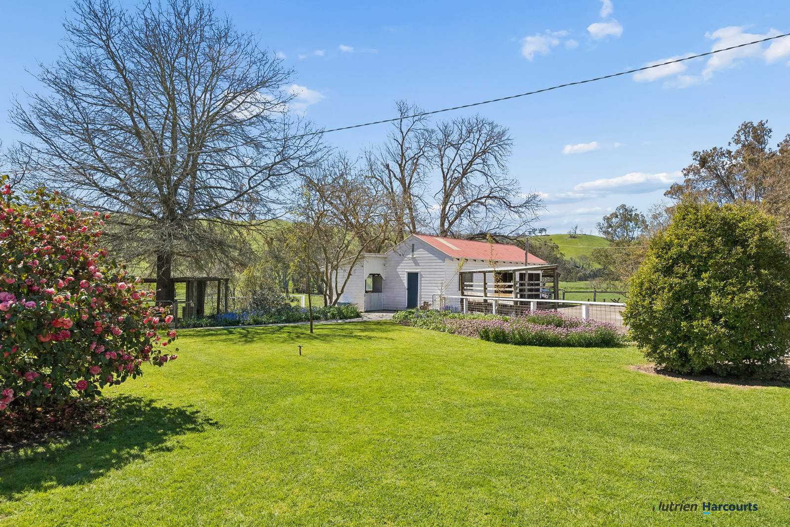 141 U T Creek Road, Alexandra For Sale by Farmbuy.com - image 7
