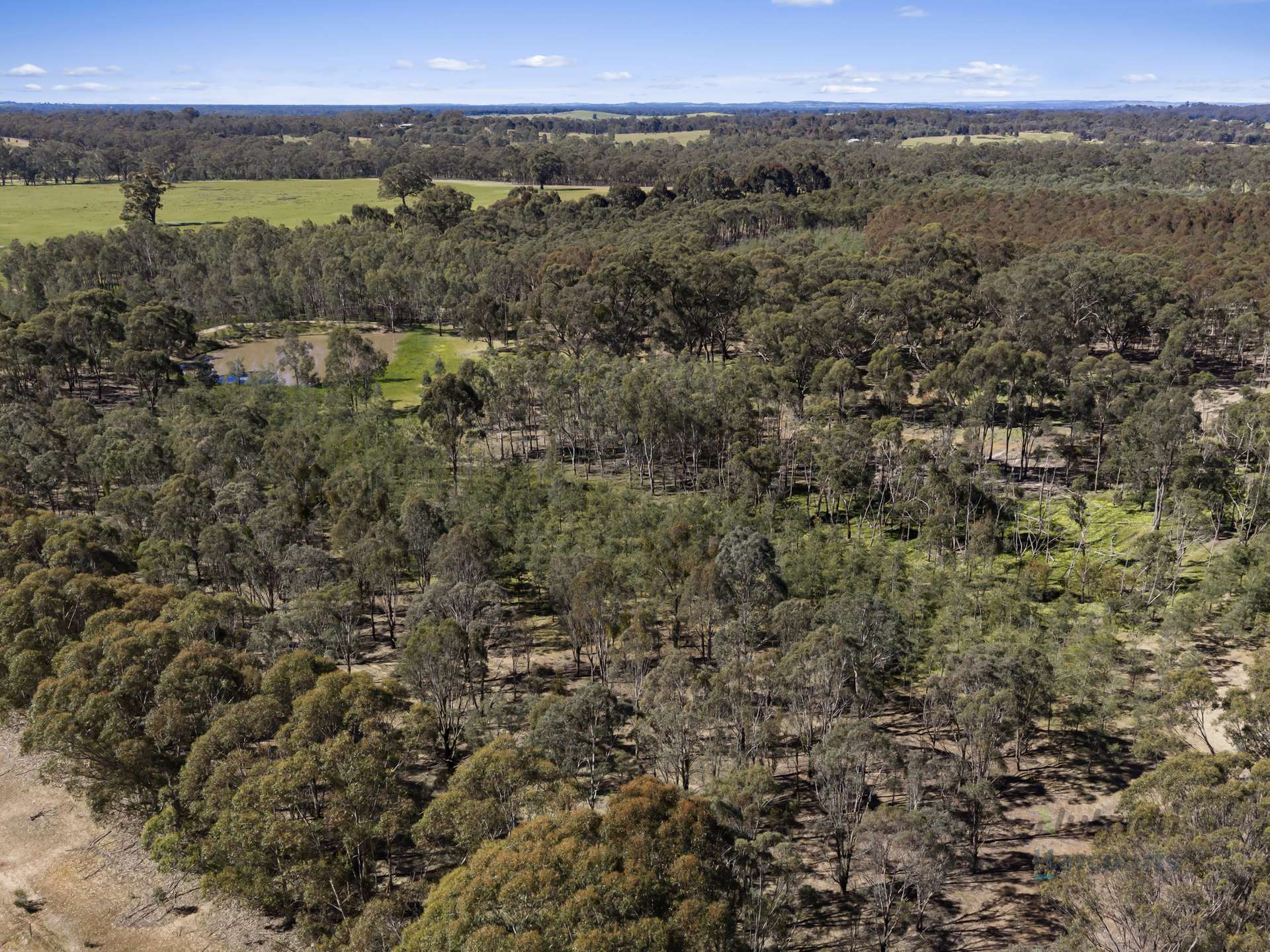 LOT 4 Dookie-Violet Town Road, Earlston For Sale by Farmbuy.com - image 6