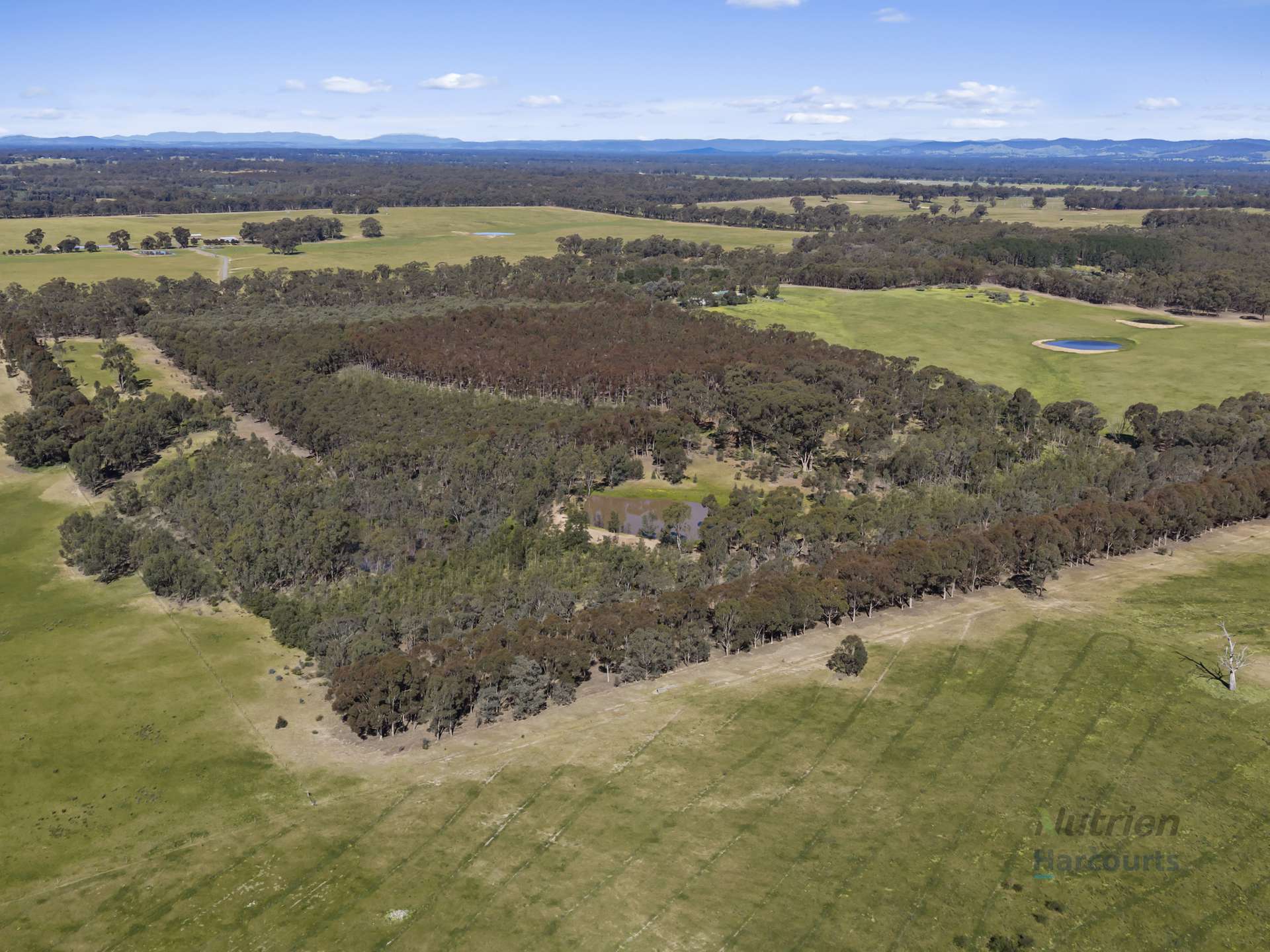 LOT 4 Dookie-Violet Town Road, Earlston For Sale by Farmbuy.com - image 7