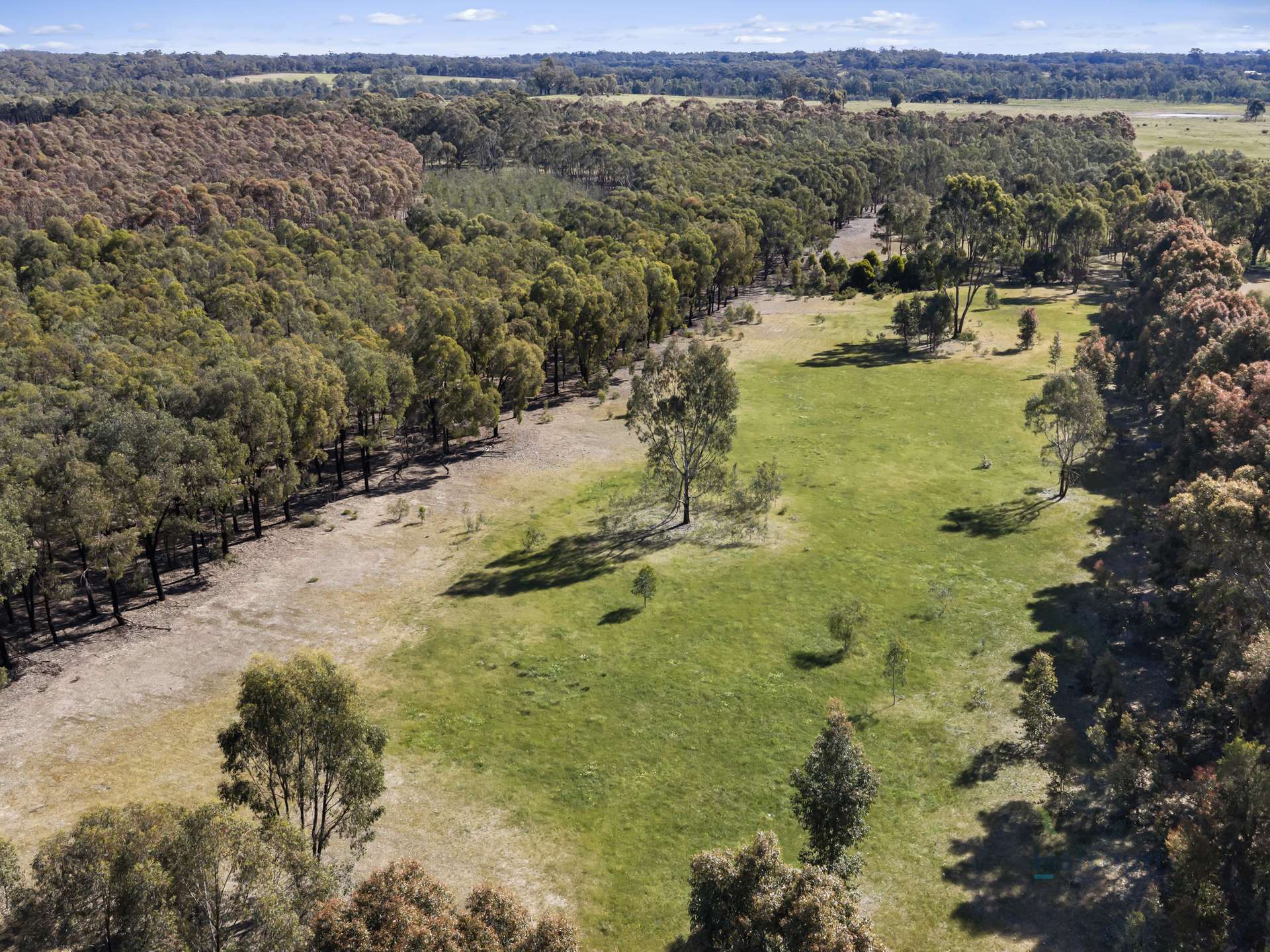 LOT 4 Dookie-Violet Town Road, Earlston For Sale by Farmbuy.com - image 9