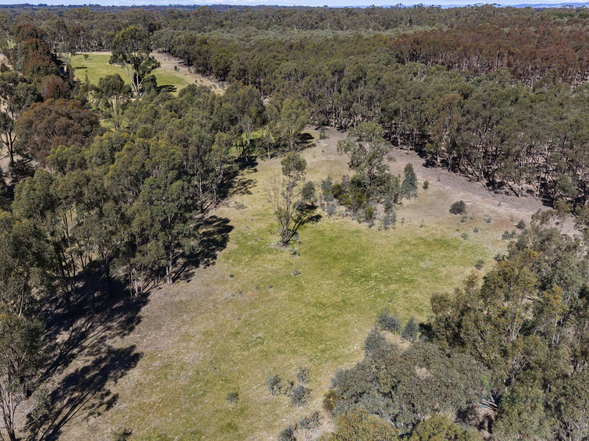 LOT 4 Dookie-Violet Town Road, Earlston For Sale by Farmbuy.com - image 10