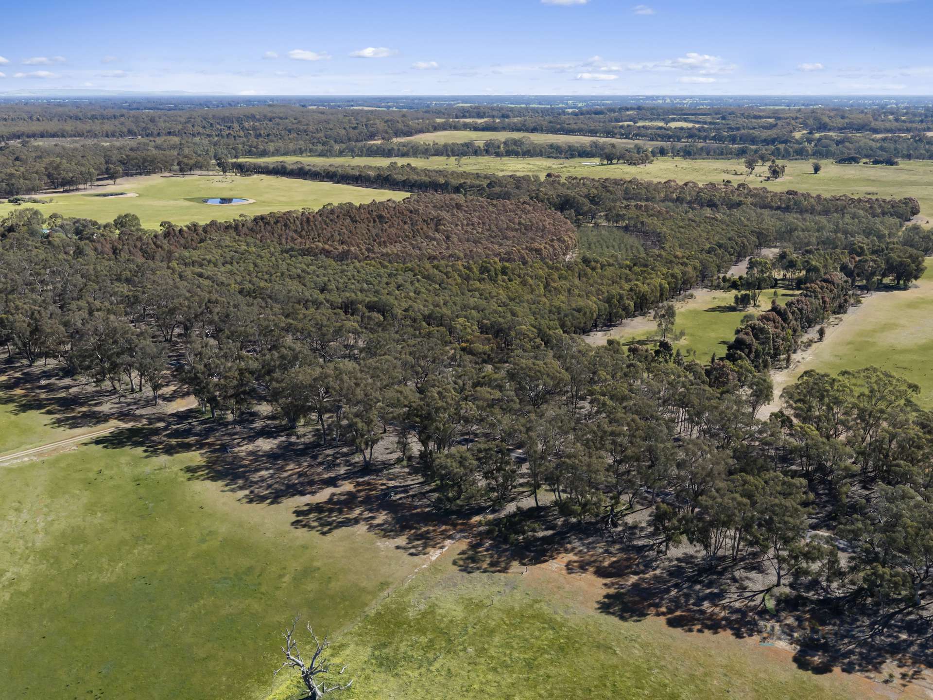 LOT 4 Dookie-Violet Town Road, Earlston For Sale by Farmbuy.com - image 8