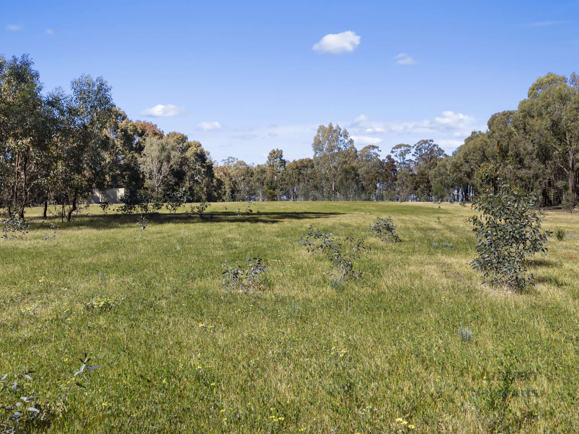 LOT 4 Dookie-Violet Town Road, Earlston For Sale by Farmbuy.com - image 17