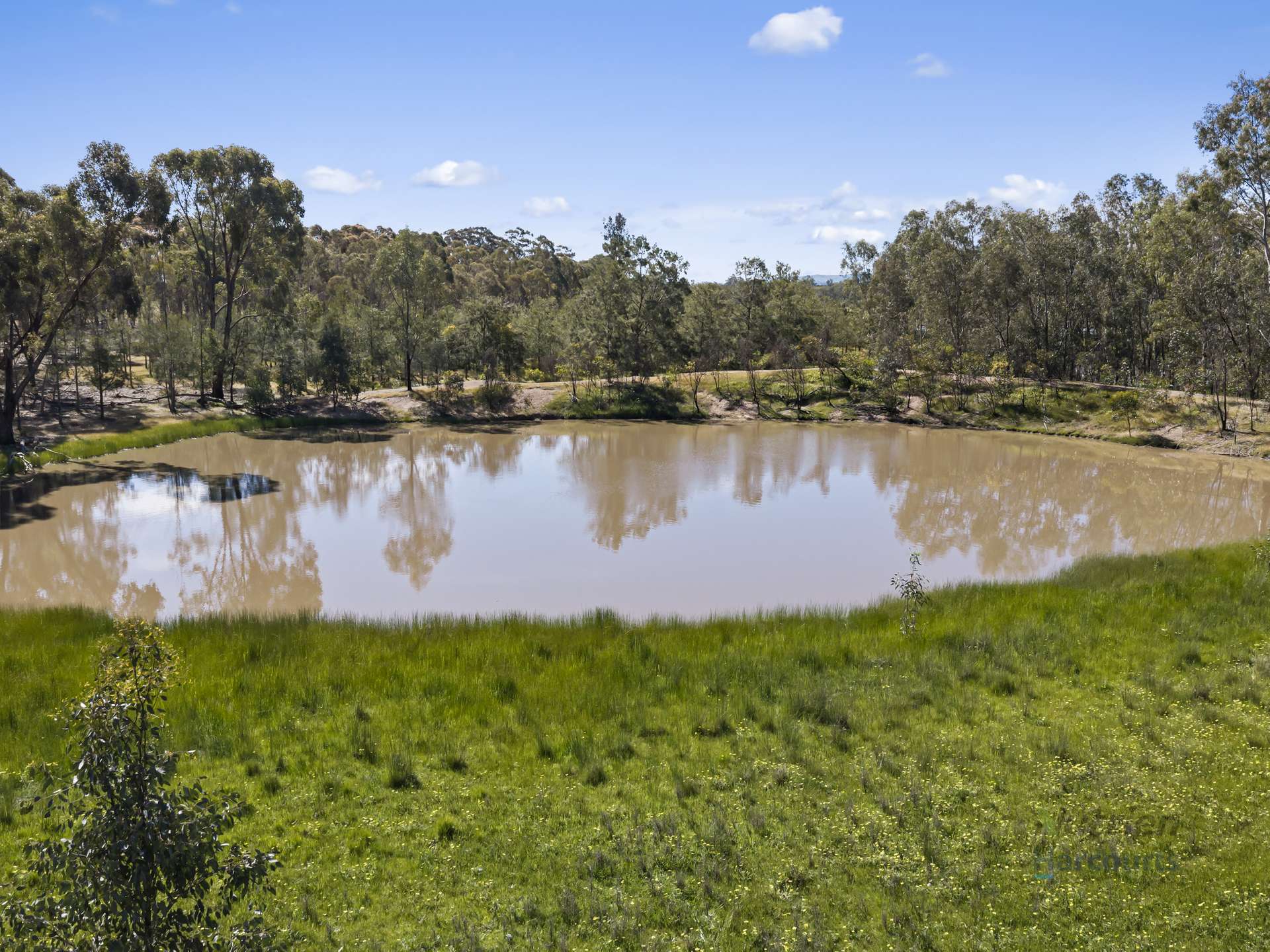 LOT 4 Dookie-Violet Town Road, Earlston For Sale by Farmbuy.com - image 19