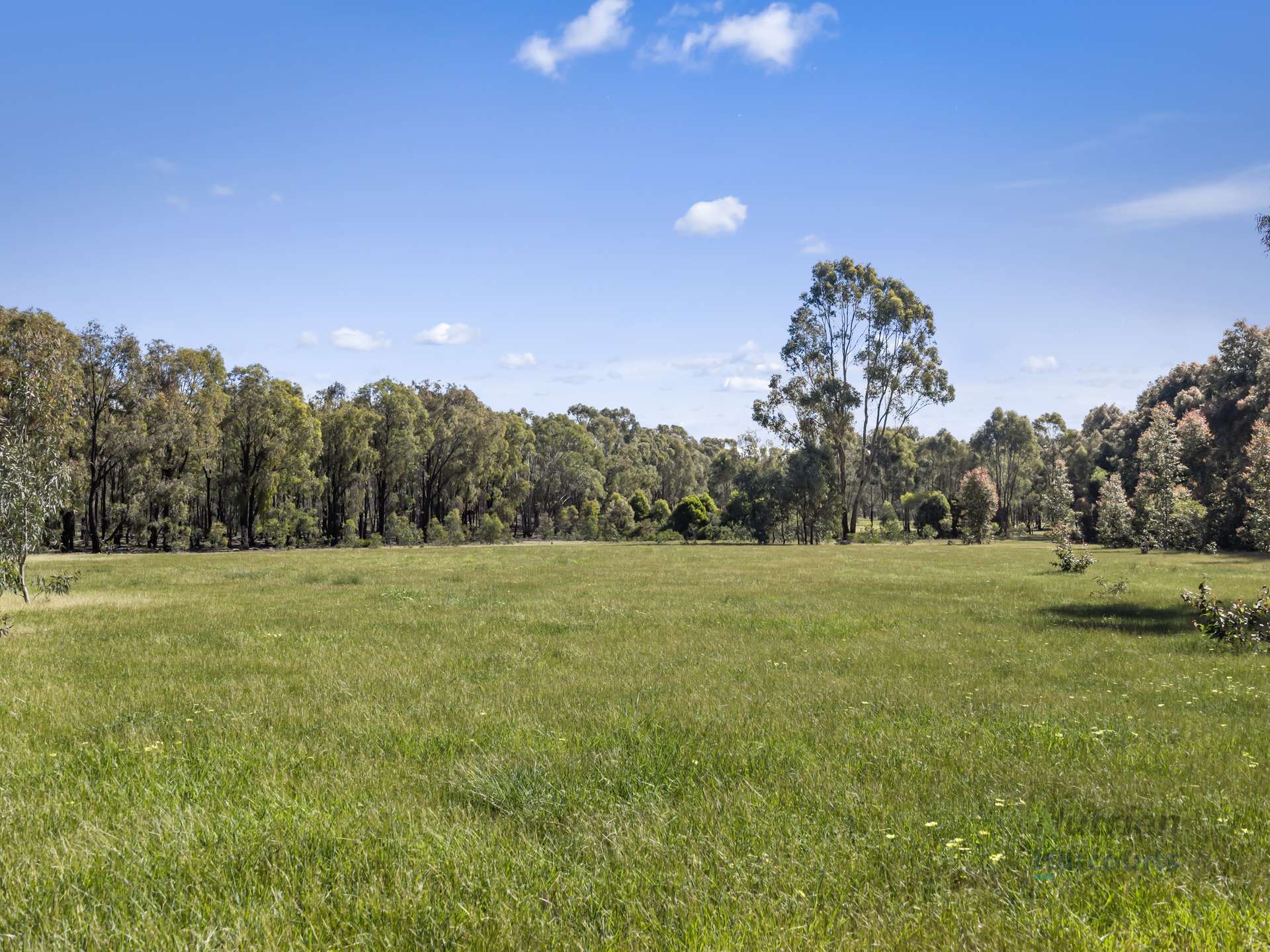 LOT 4 Dookie-Violet Town Road, Earlston For Sale by Farmbuy.com - image 16