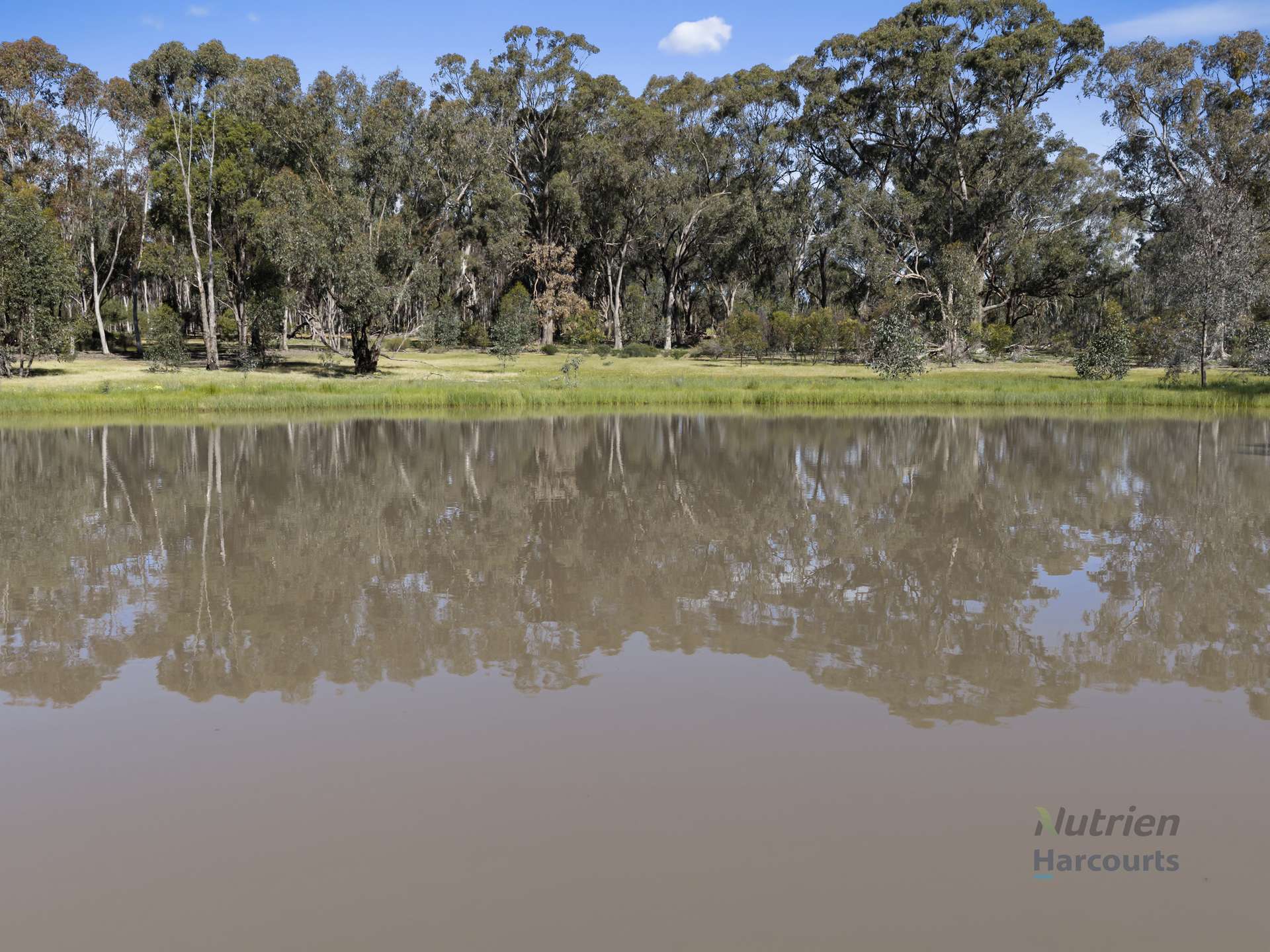 LOT 4 Dookie-Violet Town Road, Earlston For Sale by Farmbuy.com - image 5