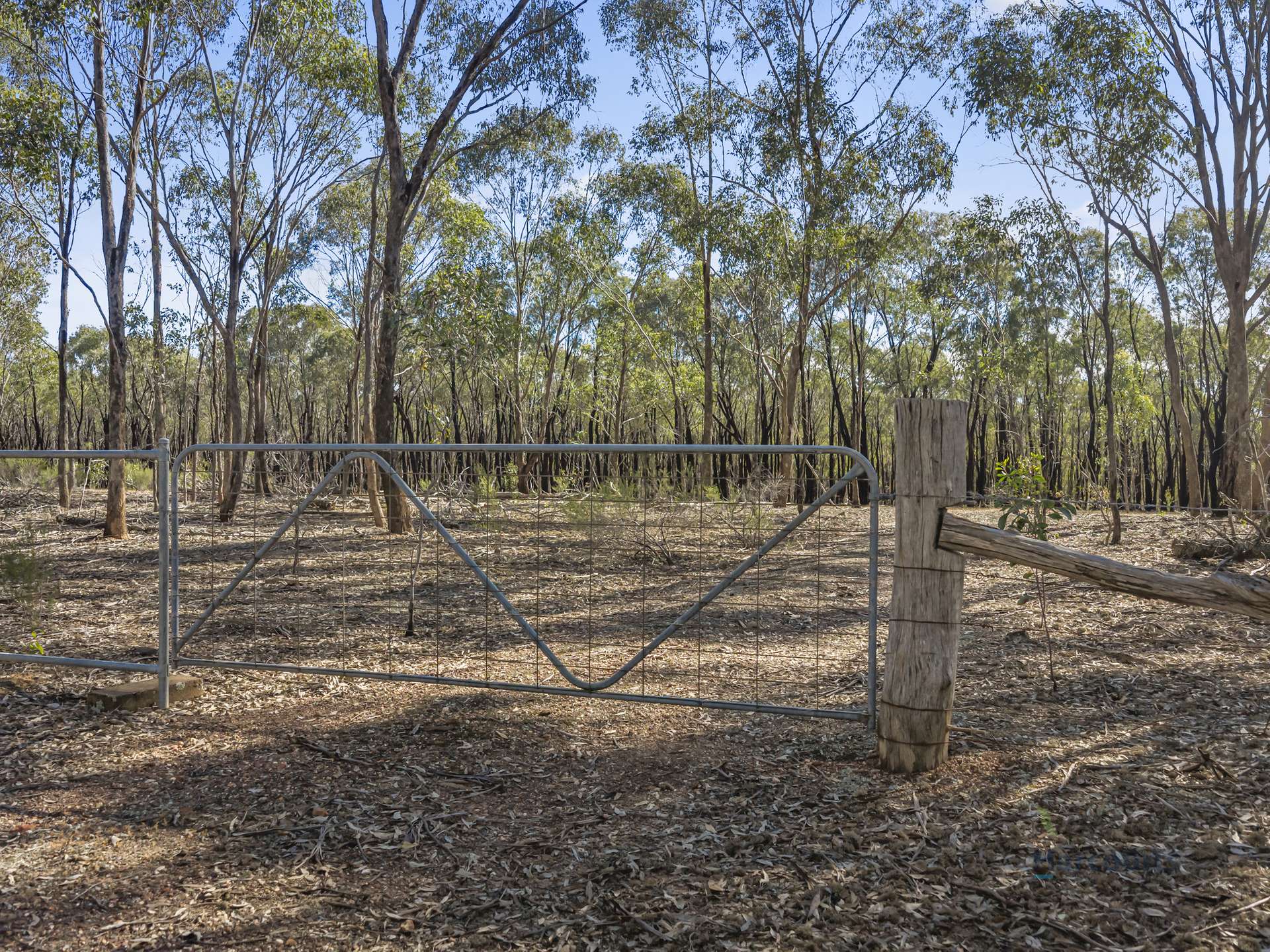 LOT 4 Dookie-Violet Town Road, Earlston For Sale by Farmbuy.com - image 20