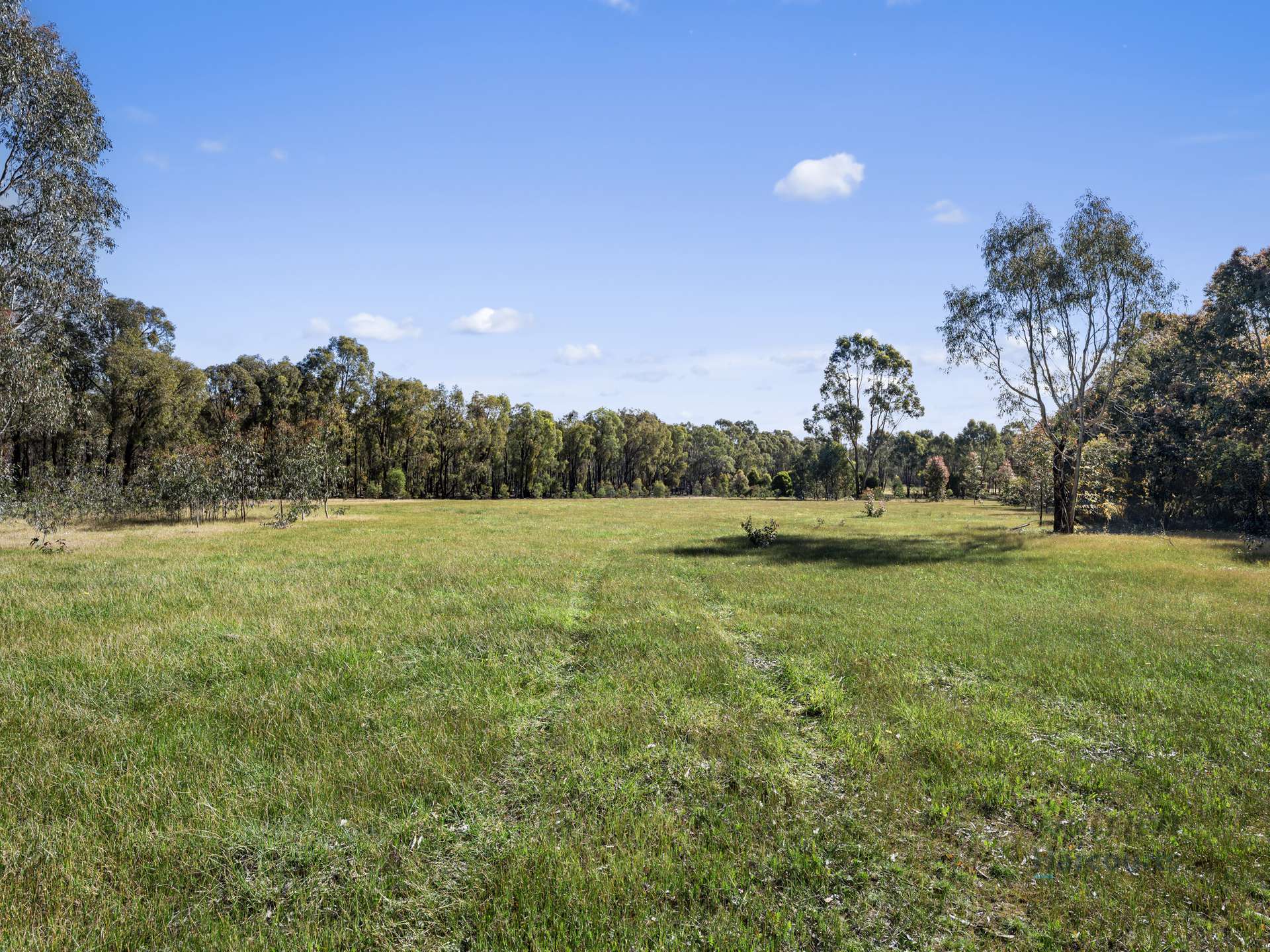 LOT 4 Dookie-Violet Town Road, Earlston For Sale by Farmbuy.com - image 15