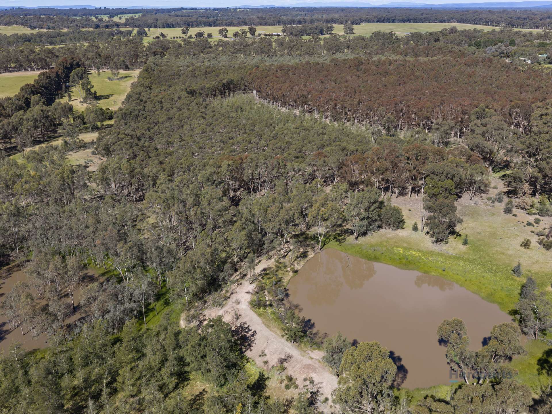 LOT 4 Dookie-Violet Town Road, Earlston For Sale by Farmbuy.com - image 18