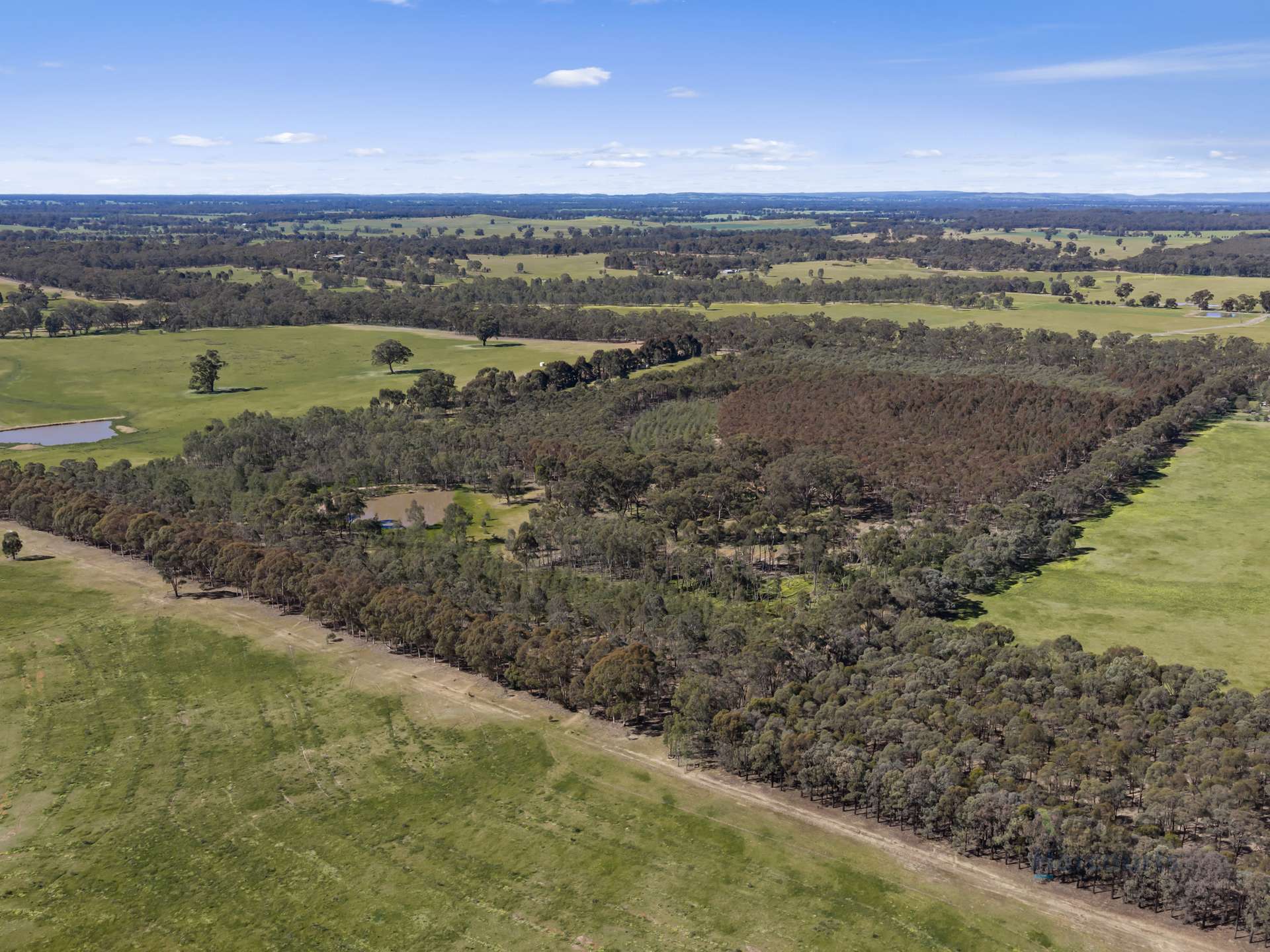 LOT 4 Dookie-Violet Town Road, Earlston For Sale by Farmbuy.com - image 21