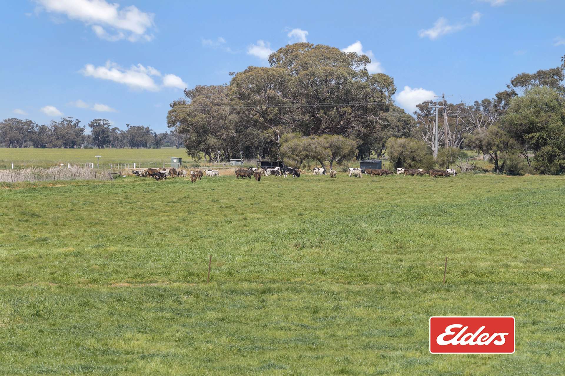 325 O'Brien Road, Undera For Sale by Farmbuy.com - image 33