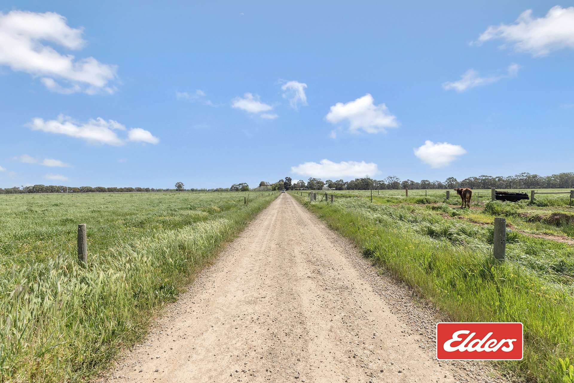 325 O'Brien Road, Undera For Sale by Farmbuy.com - image 30