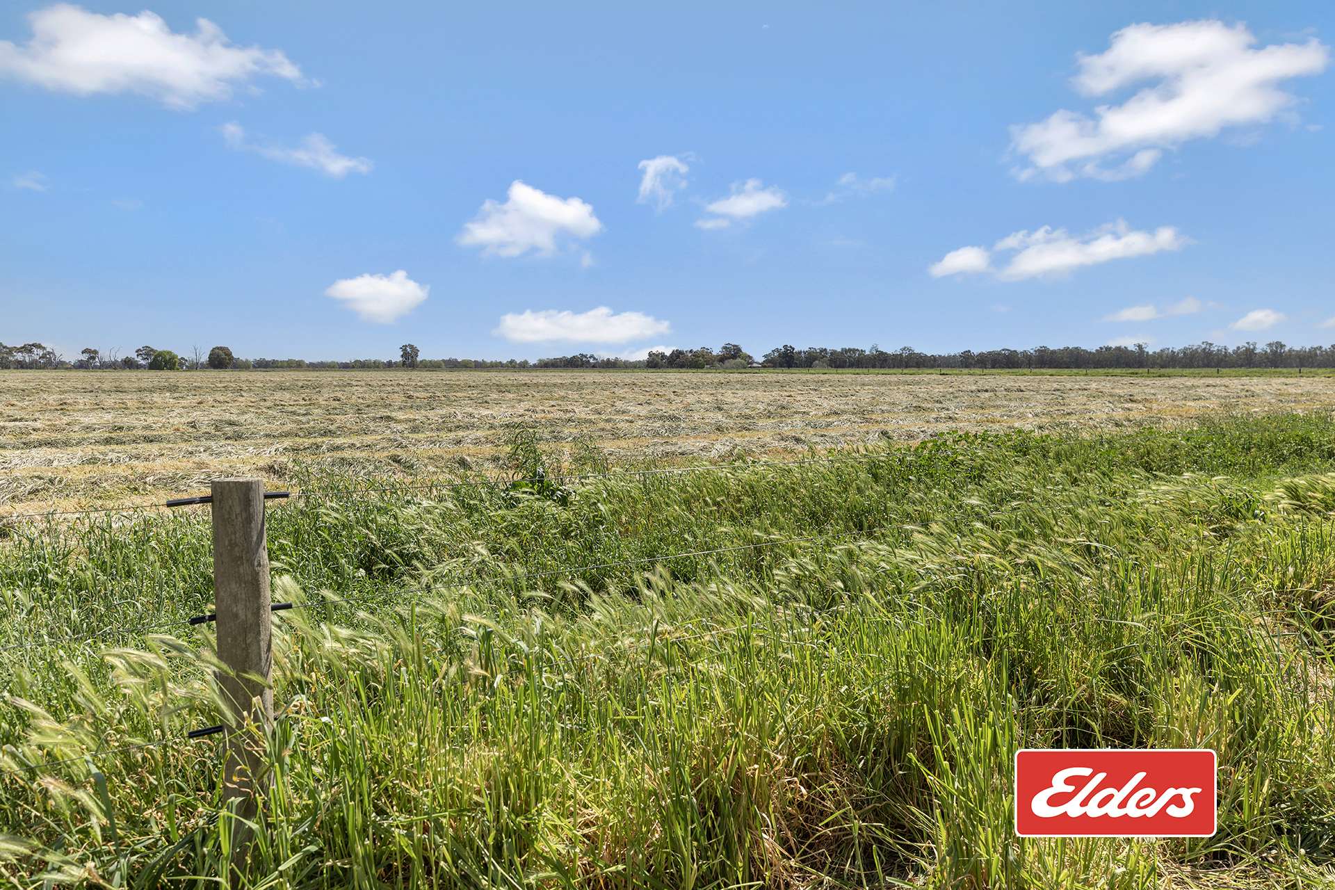 325 O'Brien Road, Undera For Sale by Farmbuy.com - image 19