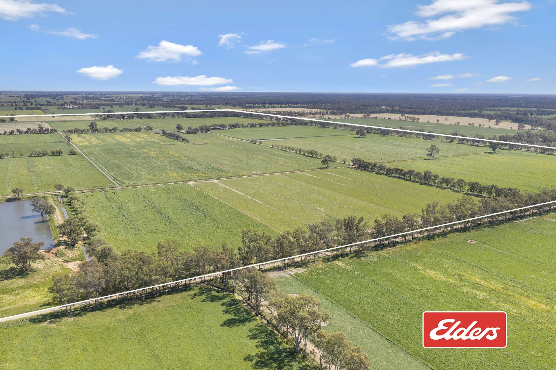 325 O'Brien Road, Undera For Sale by Farmbuy.com - image 20