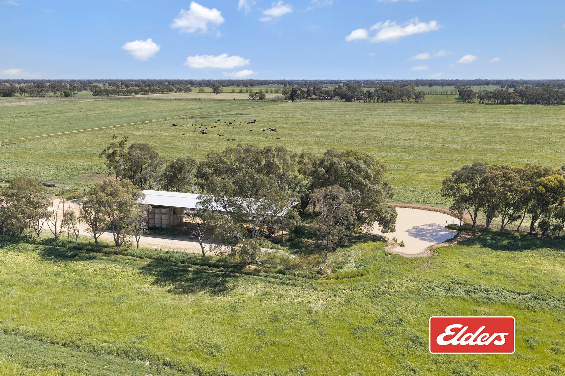 325 O'Brien Road, Undera For Sale by Farmbuy.com - image 12