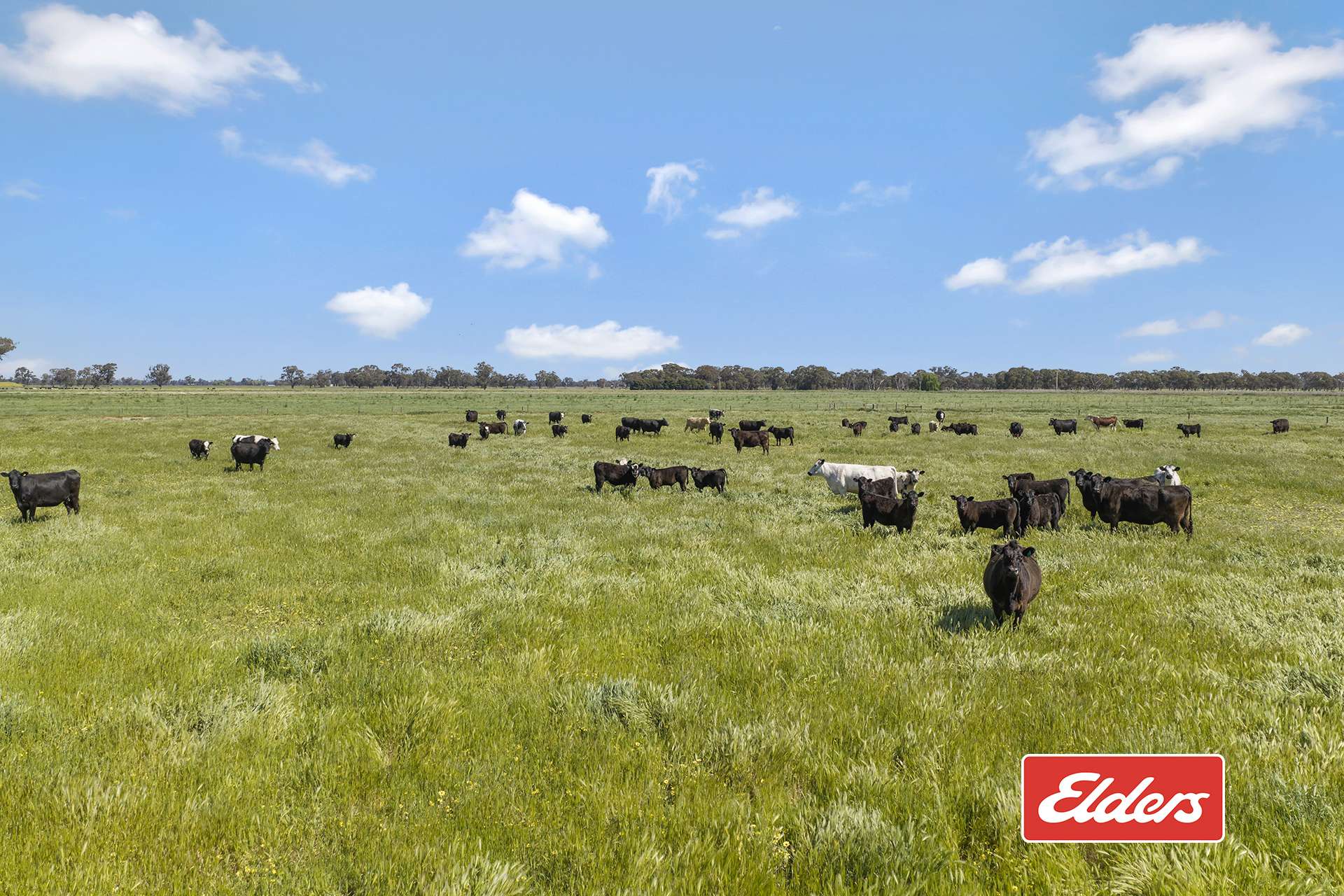 325 O'Brien Road, Undera For Sale by Farmbuy.com - image 32
