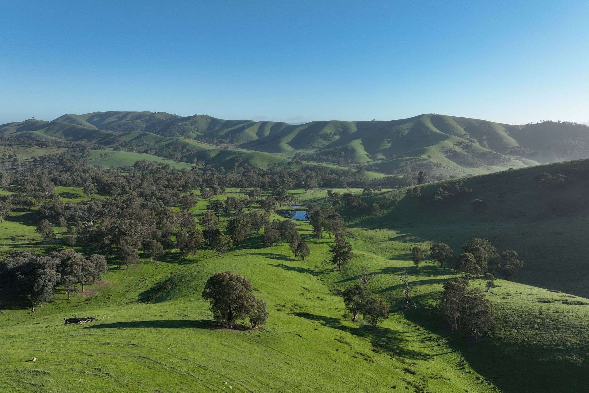 71-79 Ti Tree Creek Road, Yea For Sale by Farmbuy.com - image 3