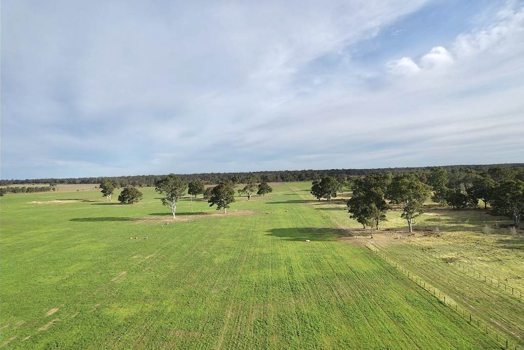310 Redcourt Lane, Lindenow South VIC 3875