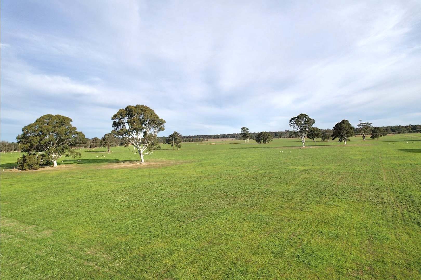 310 Redcourt Lane, Lindenow South For Sale by Farmbuy.com - image 11
