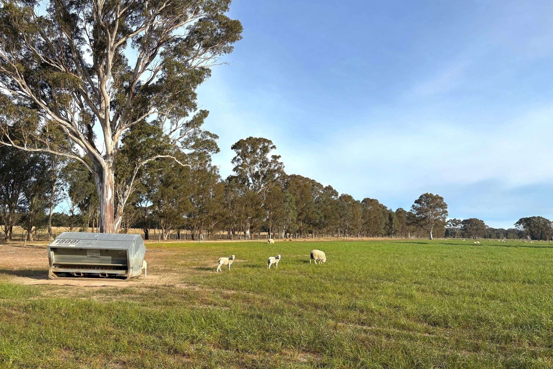 310 Redcourt Lane, Lindenow South For Sale by Farmbuy.com - image 13