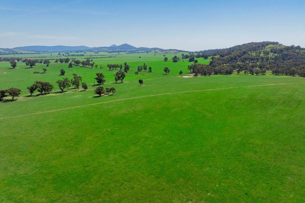 300 Jaricks Lane, The Rock NSW 2655