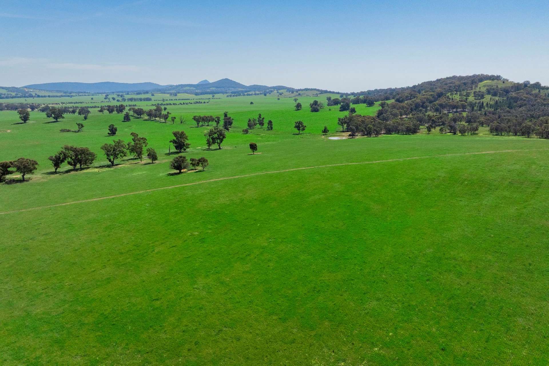 300 Jaricks Lane, The Rock For Sale by Farmbuy.com - image 1