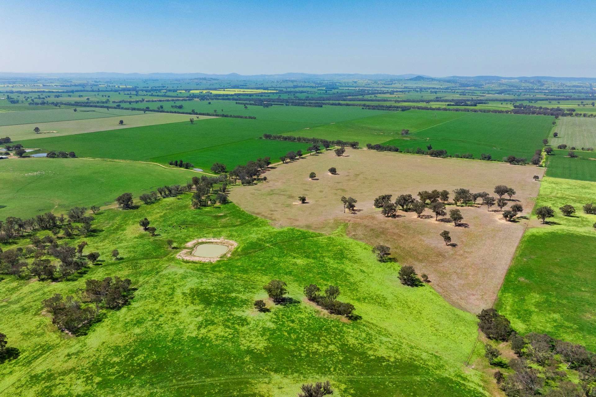 300 Jaricks Lane, The Rock For Sale by Farmbuy.com - image 22