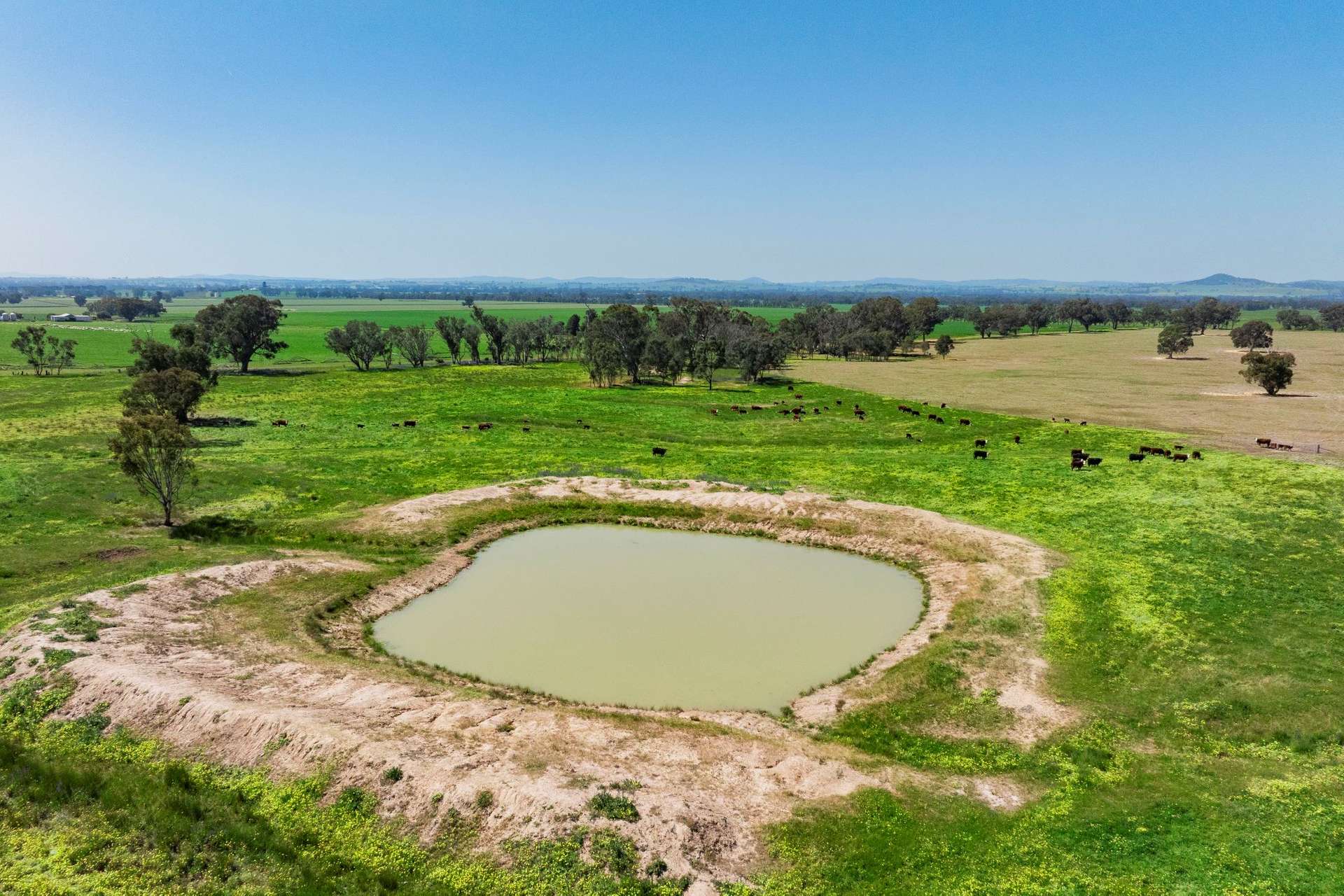 300 Jaricks Lane, The Rock For Sale by Farmbuy.com - image 20