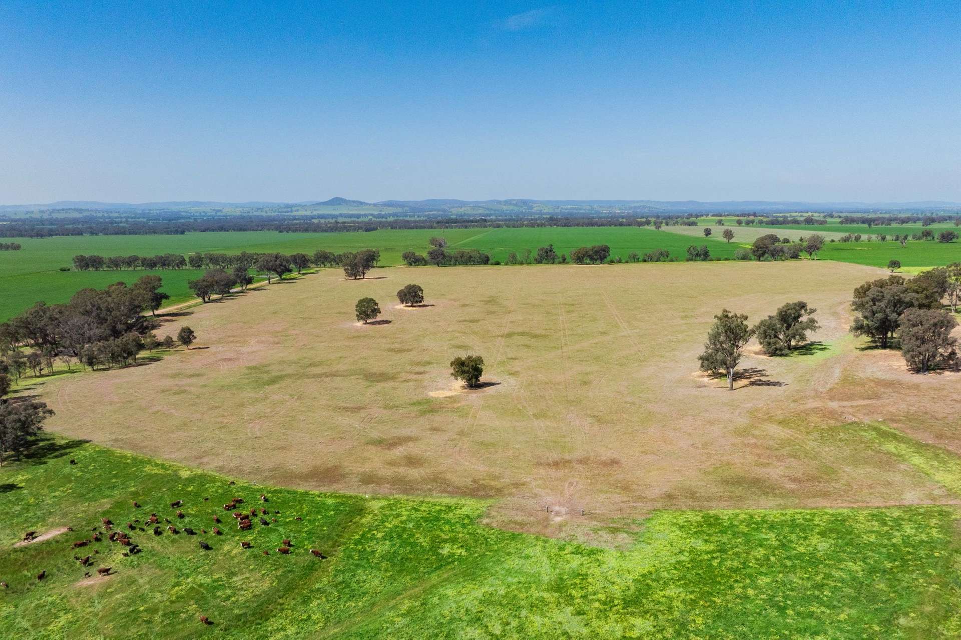 300 Jaricks Lane, The Rock For Sale by Farmbuy.com - image 5
