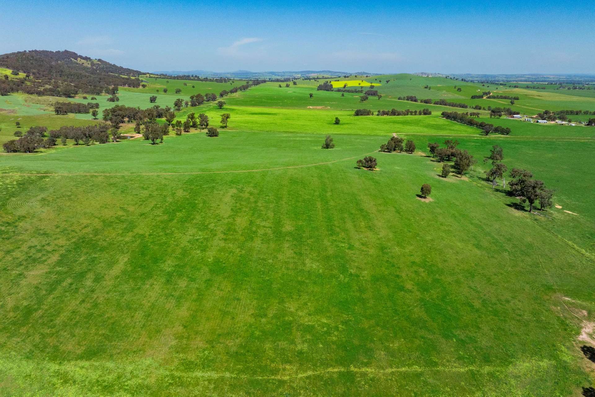 300 Jaricks Lane, The Rock For Sale by Farmbuy.com - image 4