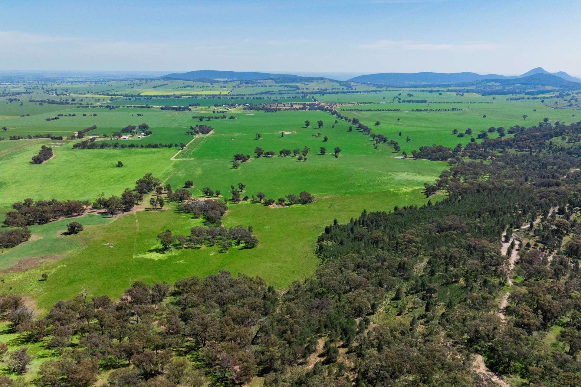 300 Jaricks Lane, The Rock For Sale by Farmbuy.com - image 23