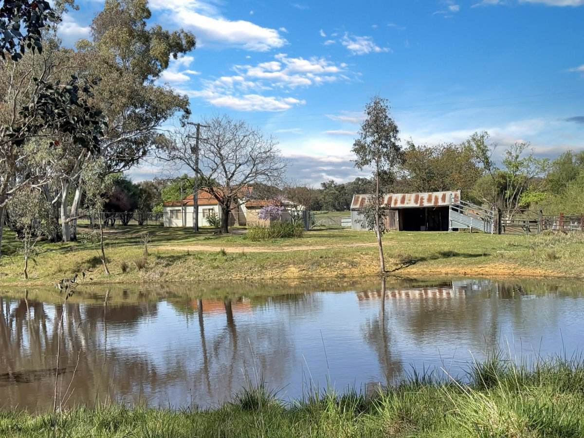 3 Pestells Lane, Young For Sale by Farmbuy.com - image 1