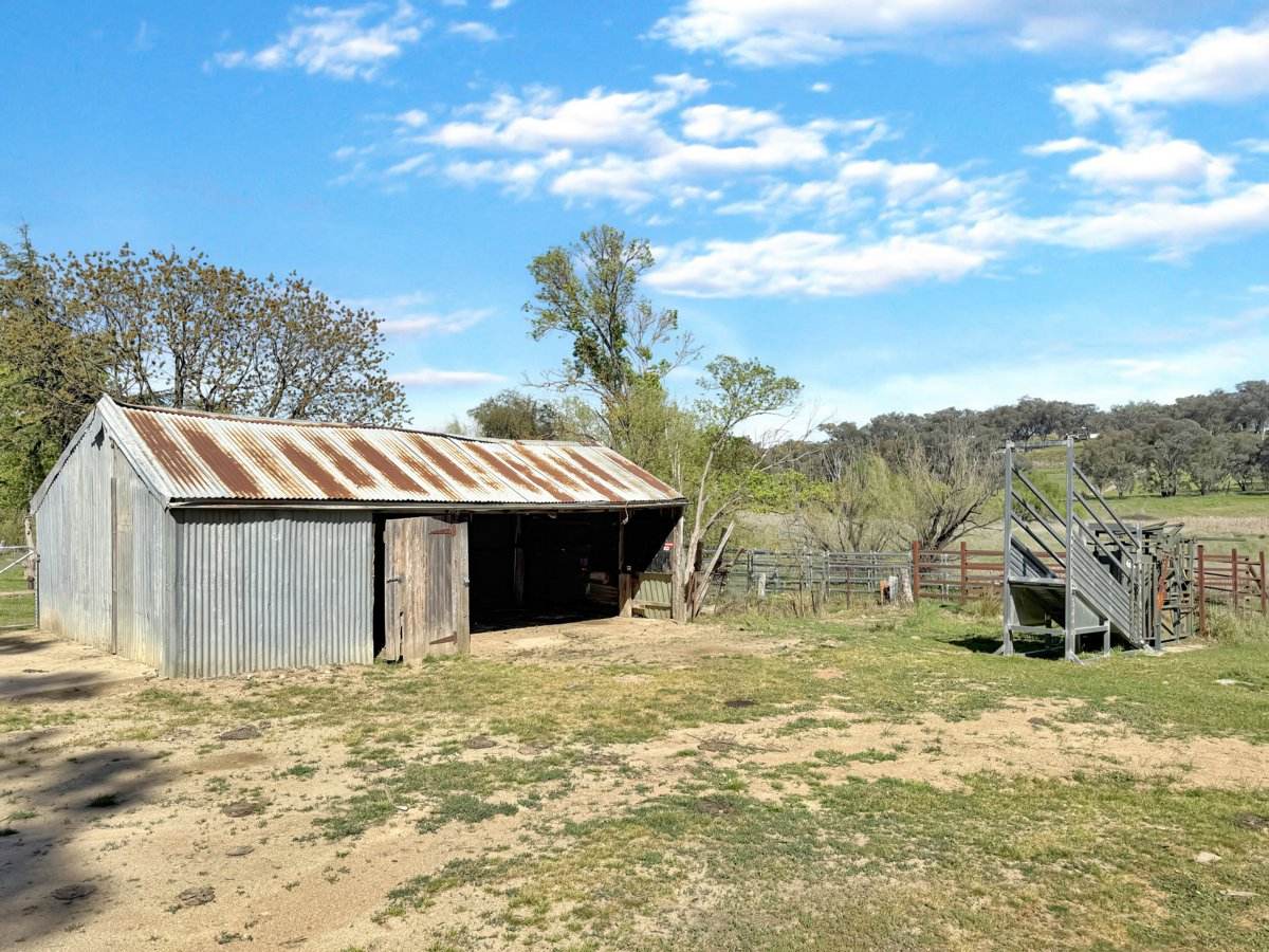 3 Pestells Lane, Young For Sale by Farmbuy.com - image 16