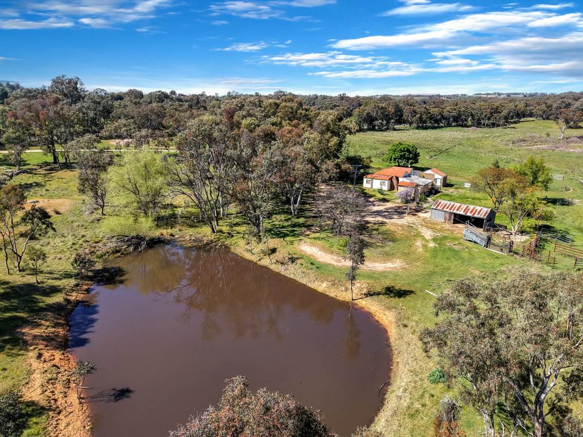 3 Pestells Lane, Young For Sale by Farmbuy.com - image 19