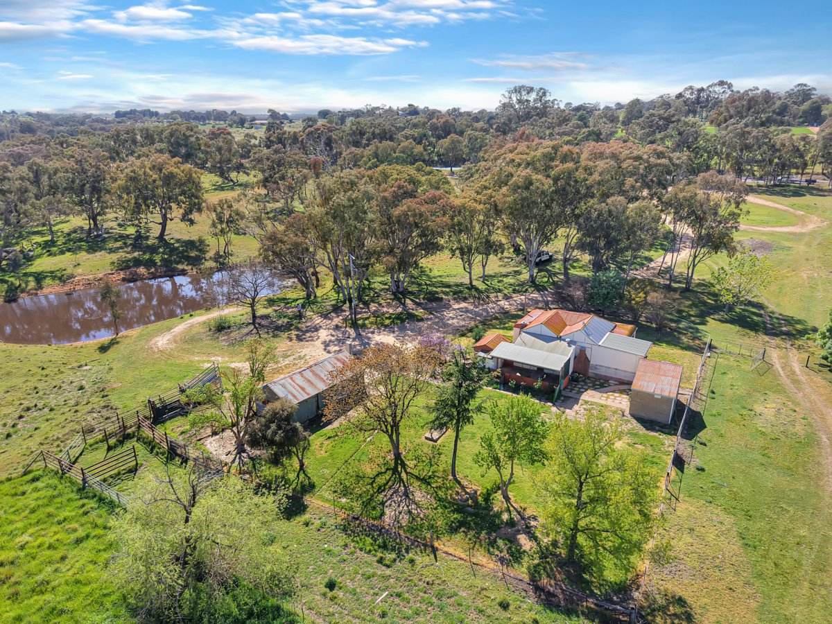 3 Pestells Lane, Young For Sale by Farmbuy.com - image 5