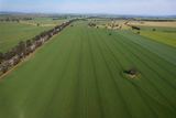 0 Marrar South Road, Yathella For Sale by LAWD