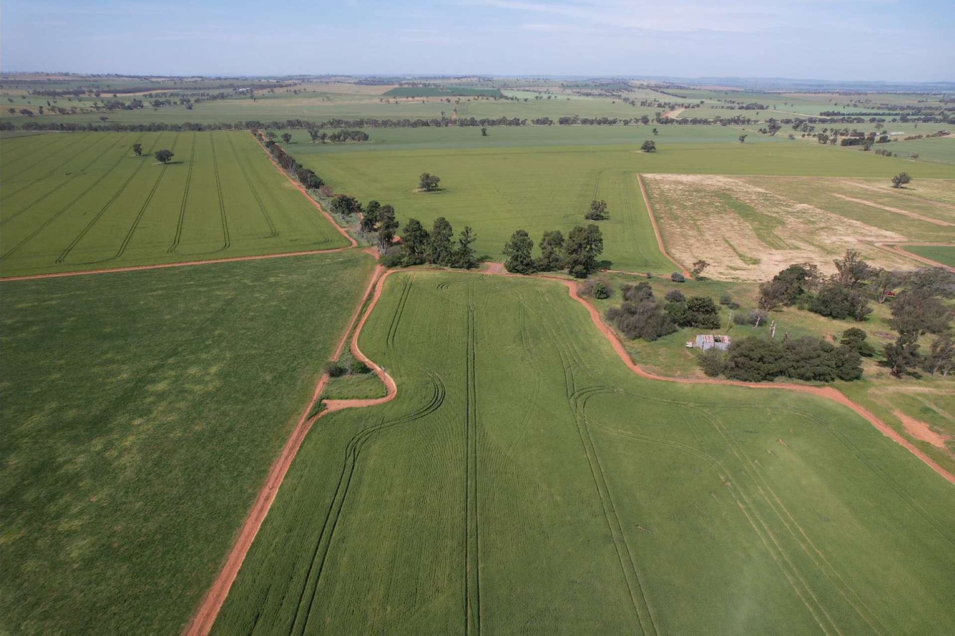0 Marrar South Road, Yathella For Sale by Farmbuy.com - image 7